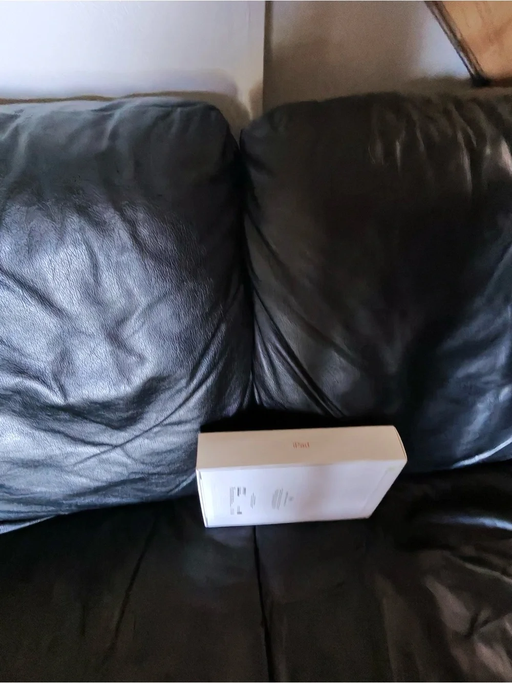 Apple iPad